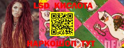 прущие крисы Бийск