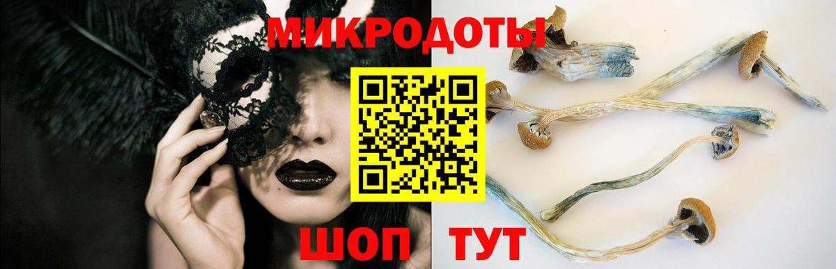 Галлюциногенные грибы MAGIC MUSHROOMS Вязьма